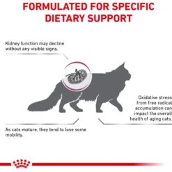 Royal Canin Veterinary Diet Adult Renal Support Early Consult Dry Cat Food -PurePet Bites Shop 278911 PT3. AC SS1800 V1701881716
