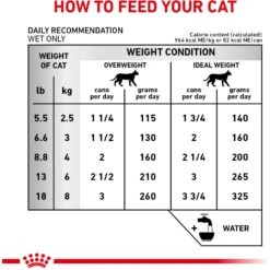 Royal Canin Veterinary Diet Adult Renal Support Early Consult Loaf In Sauce Canned Cat Food -PurePet Bites Shop 278913 PT5. AC SS1800 V1701882070