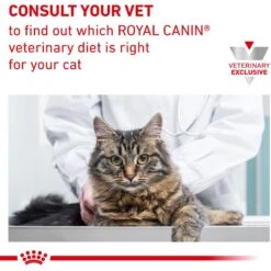 Royal Canin Veterinary Diet Adult Renal Support Early Consult Loaf In Sauce Canned Cat Food -PurePet Bites Shop 278913 PT8. AC SS1800 V1701881225