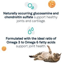 CANIDAE Goodness For Joints Real Salmon Adult Dry Cat Food -PurePet Bites Shop 279814 PT3. AC SS1800 V1615422808