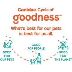 CANIDAE Goodness For Joints Real Salmon Adult Dry Cat Food -PurePet Bites Shop 279814 PT5. AC SS1800 V1615419112