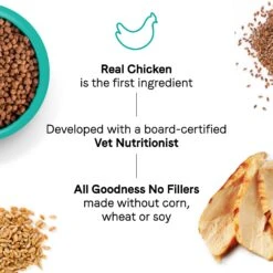 CANIDAE Goodness For Digestion Real Chicken Adult Dry Cat Food -PurePet Bites Shop 279817 PT4. AC SS1800 V1615423948