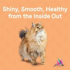 CANIDAE Goodness For Skin & Coat Real Salmon Adult Dry Cat Food -PurePet Bites Shop 279820 PT2. AC SS1800 V1615417589
