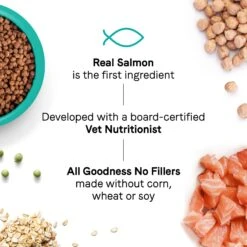 CANIDAE Goodness For Skin & Coat Real Salmon Adult Dry Cat Food -PurePet Bites Shop 279820 PT4. AC SS1800 V1615425784