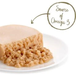 Applaws Mousse Salmon Grain-Free Wet Cat Food, 2.47-oz Can, Case Of 24 -PurePet Bites Shop 286449 PT1. AC SS1800 V1658152796