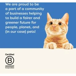 Applaws Whitefish With Salmon In Broth Wet Cat Food -PurePet Bites Shop 286455 PT6. AC SS1800 V1658152727