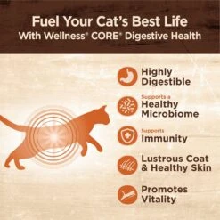 Wellness CORE Digestive Health Salmon Pate Recipe Grain-Free Wet Cat Food, 3-oz, Case Of 12 & Wellness CORE Digestive Health Wholesome Grains Salmon & Rice Recipe Dry Cat Food -PurePet Bites Shop 290196 PT4. AC SS1800 V1620090162