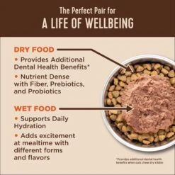 Wellness CORE Digestive Health Chicken Pate Recipe Grain-Free Wet Cat Food, 3-oz, Case Of 12 & Wellness CORE Digestive Health Wholesome Grains Chicken & Rice Recipe Dry Cat Food -PurePet Bites Shop 290202 PT3. AC SS1800 V1620088624