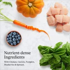 American Journey Chicken Recipe Grain-Free Dry Cat Food & Blue Buffalo Wilderness Chicken Recipe Grain-Free Dry Cat Food -PurePet Bites Shop 292598 PT4. AC SS1800 V1666839386