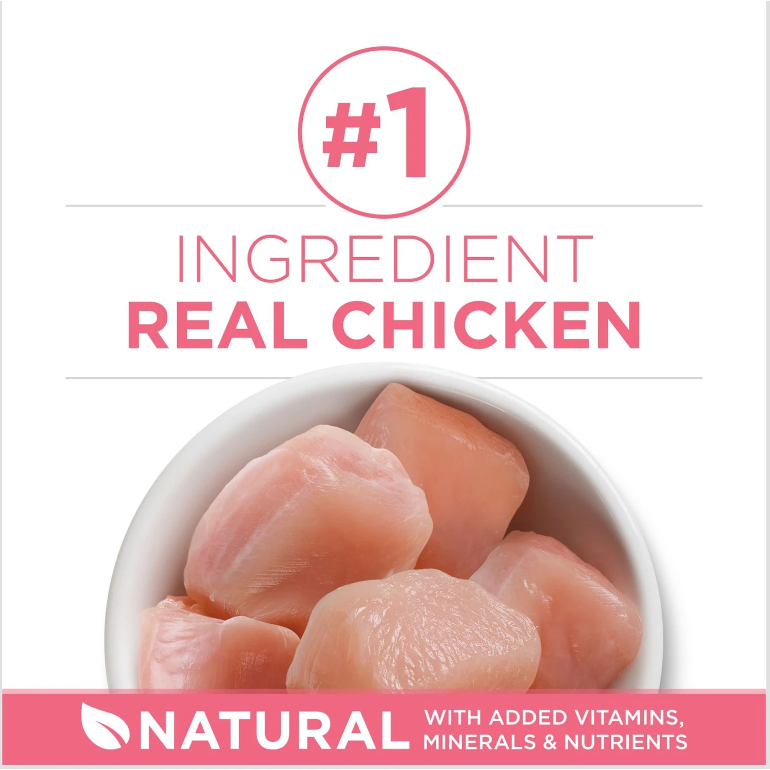 Fancy Feast Tender Feast Variety Pack Canned Kitten Food & Purina ONE +Plus Healthy Kitten Formula Natural Dry Cat Food 11 Fancy Feast Tender Feast Variety Pack Canned Kitten Food & Purina ONE +Plus Healthy Kitten Formula Natural Dry Cat Food - Image 9