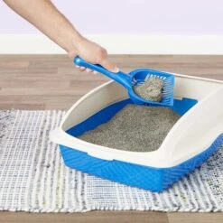 Iams ProActive Health Indoor Weight & Hairball Care Adult Dry Cat Food & Arm & Hammer Litter Slide Multi-Cat Scented Clumping Clay Cat Litter -PurePet Bites Shop 293248 PT6. AC SS1800 V1620245551