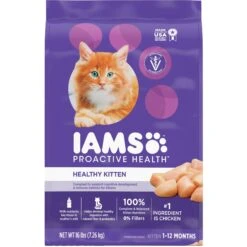 Iams ProActive Health Kitten Dry Cat Food & Fancy Feast Tender Feast Variety Pack Canned Kitten Food 13 Iams ProActive Health Kitten Dry Cat Food & Fancy Feast Tender Feast Variety Pack Canned Kitten Food -PurePet Bites Shop 293254 PT5. AC SS1800 V1619988740