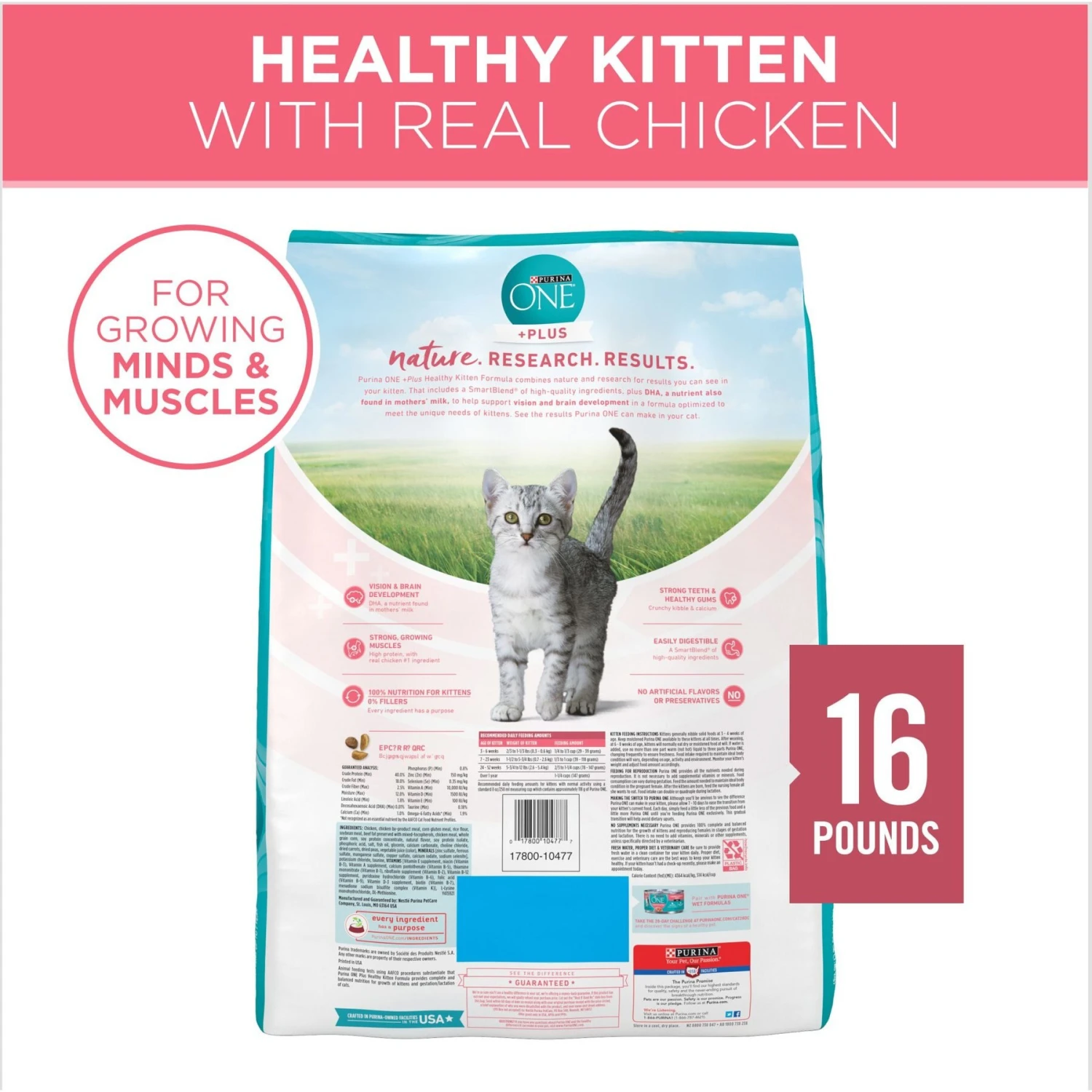 Purina ONE +Plus Healthy Kitten Formula Natural Dry Cat Food & Fancy Feast Tender Feast Variety Pack Canned Kitten Food 9 Purina ONE +Plus Healthy Kitten Formula Natural Dry Cat Food & Fancy Feast Tender Feast Variety Pack Canned Kitten Food - Image 7