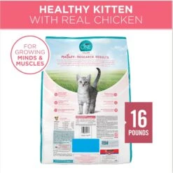 Purina ONE +Plus Healthy Kitten Formula Natural Dry Cat Food & Purina Pro Plan Focus Kitten Favorites Variety Pack Canned Cat Food -PurePet Bites Shop 293524 PT2. AC SS1800 V1679927719