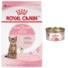 Royal Canin Feline Health Nutrition Kitten Spayed/Neutered Dry Cat Food & Royal Canin Feline Health Nutrition Thin Slices In Gravy Wet Kitten Food -PurePet Bites Shop 293766 MAIN. AC SS1800 V1678973918