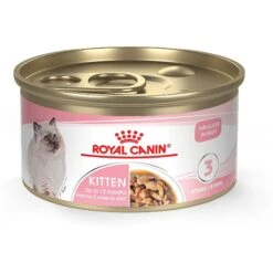 Royal Canin Feline Health Nutrition Kitten Spayed/Neutered Dry Cat Food & Royal Canin Feline Health Nutrition Thin Slices In Gravy Wet Kitten Food -PurePet Bites Shop 293766 PT1. AC SS1800 V1678973971