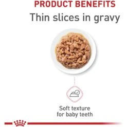 Royal Canin Feline Health Nutrition Kitten Spayed/Neutered Dry Cat Food & Royal Canin Feline Health Nutrition Thin Slices In Gravy Wet Kitten Food -PurePet Bites Shop 293766 PT4. AC SS1800 V1678973921