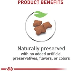 Royal Canin Feline Health Nutrition Kitten Spayed/Neutered Dry Cat Food & Royal Canin Feline Health Nutrition Thin Slices In Gravy Wet Kitten Food -PurePet Bites Shop 293766 PT8. AC SS1800 V1678973972