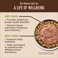 Wellness Complete Health Kitten Chicken Entree Recipe Natural Canned Cat Food & Wellness CORE Natural Grain-Free Turkey & Chicken Liver Pate Canned Kitten Food -PurePet Bites Shop 294276 PT7. AC SS1800 V1621984103