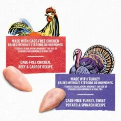 Purina Beyond Chicken & Turkey Variety Pack Wet Cat Food, 3-oz Can, Case Of 12 -PurePet Bites Shop 297540 PT2. AC SS1800 V1699369644