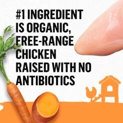 Purina Beyond Organic Chicken Variety Pack Pate Wet Cat Food, 3-oz Can, Case Of 6 -PurePet Bites Shop 297542 PT4. AC SS1800 V1700161837