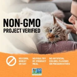 Purina Beyond Organic Chicken Variety Pack Pate Wet Cat Food, 3-oz Can, Case Of 6 -PurePet Bites Shop 297542 PT7. AC SS1800 V1700161787