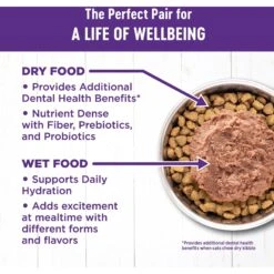 Wellness Complete Health Pate Chicken Entree Grain-Free Natural Canned Cat Food & Wellness Complete Health Grain-Free Indoor Healthy Weight Chicken Recipe Natural Dry Cat Food 13 Wellness Complete Health Pate Chicken Entree Grain-Free Natural Canned Cat Food & Wellness Complete Health Grain-Free Indoor Healthy Weight Chicken Recipe Natural Dry Cat Food -PurePet Bites Shop 297650 PT3. AC SS1800 V1621983840