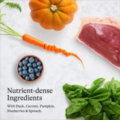 American Journey Duck Recipe Grain-Free Dry Cat Food & Blue Buffalo Wilderness Duck Recipe Grain-Free Dry Cat Food -PurePet Bites Shop 297692 PT4. AC SS1800 V1666839209