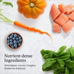 American Journey Salmon Recipe Grain-Free Dry Cat Food & American Journey 100% Chicken Freeze-Dried Grain-Free Cat Treats 14 American Journey Salmon Recipe Grain-Free Dry Cat Food & American Journey 100% Chicken Freeze-Dried Grain-Free Cat Treats -PurePet Bites Shop 297814 PT3. AC SS1800 V1694615892
