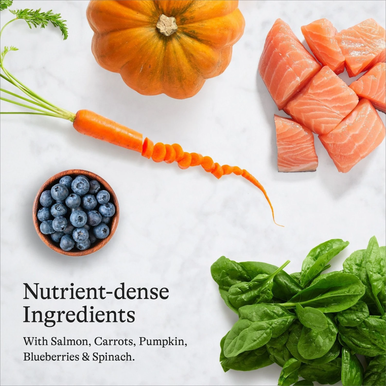 American Journey Salmon Recipe Grain-Free Dry Cat Food & American Journey 100% Chicken Freeze-Dried Grain-Free Cat Treats 6 American Journey Salmon Recipe Grain-Free Dry Cat Food & American Journey 100% Chicken Freeze-Dried Grain-Free Cat Treats - Image 4