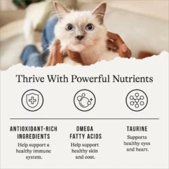 American Journey Salmon Recipe Grain-Free Dry Cat Food & American Journey 100% Chicken Freeze-Dried Grain-Free Cat Treats 15 American Journey Salmon Recipe Grain-Free Dry Cat Food & American Journey 100% Chicken Freeze-Dried Grain-Free Cat Treats -PurePet Bites Shop 297814 PT4. AC SS1800 V1694617190