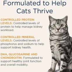 Blue Buffalo Natural Veterinary Diet K+M Kidney + Mobility Support Grain-Free Dry Cat Food & Blue Buffalo Natural Veterinary Diet K+M Kidney + Mobility Support Grain-Free Wet Cat Food -PurePet Bites Shop 297842 PT5. AC SS1800 V1621293169