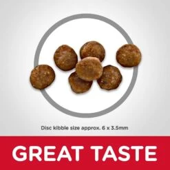 Hill's Science Diet Kitten Healthy Cuisine Tender Chicken & Rice Medley Canned Cat Food & Hill's Science Diet Indoor Kitten Dry Cat Food -PurePet Bites Shop 298098 PT6. AC SS1800 V1621287765