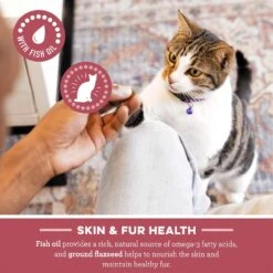 Iams ProActive Health Healthy Adult Original With Chicken Dry Cat Food & Greenies Feline SmartBites Healthy Skin & Fur Natural Chicken Flavor Soft & Crunchy Adult Cat Treats -PurePet Bites Shop 298108 PT4. AC SS1800 V1691776231