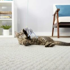 PureBites Chicken Breast Freeze-Dried Raw Cat Treats & Frisco Bouncy Mouse Plush Teaser Cat Toy With Catnip -PurePet Bites Shop 298414 PT5. AC SS1800 V1623194253