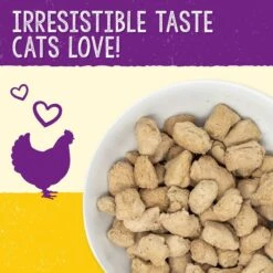 Stella & Chewy's Chick Chick Chicken Dinner Morsels Freeze-Dried Raw Cat Food & Stella & Chewy's Stella's Solutions Digestive Boost Chicken Freeze-Dried Raw Cat Food, 7.5-oz Bag -PurePet Bites Shop 298524 PT6. AC SS1800 V1621295255