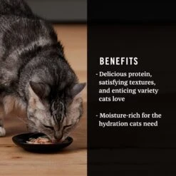 Tiki Cat Luau Velvet Mousse Variety Pack Grain-Free Wet Cat Food, 2.8-oz Pouch, Case Of 12 & American Journey Landmark Broths Tuna, Shrimp & Whitefish Recipe Wet Cat Food Complement Pouches, 1.4 Oz Case Of 16 19 Tiki Cat Luau Velvet Mousse Variety Pack Grain-Free Wet Cat Food, 2.8-oz Pouch, Case Of 12 & American Journey Landmark Broths Tuna, Shrimp & Whitefish Recipe Wet Cat Food Complement Pouches, 1.4 Oz Case Of 16 -PurePet Bites Shop 298552 PT8. AC SS1800 V1701115717