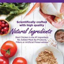 Wellness Complete Health Kitten Chicken Entree Recipe Natural Canned Cat Food & Wellness Complete Health Natural Grain-Free Deboned Chicken & Chicken Meal Dry Kitten Food -PurePet Bites Shop 298660 PT2. AC SS1800 V1621990640