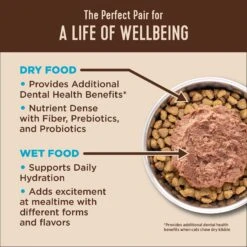 Wellness CORE Natural Grain-Free Turkey & Chicken Liver Pate Canned Kitten Food & Wellness CORE Grain-Free Salmon, Whitefish & Herring Pate Canned Kitten & Cat Food -PurePet Bites Shop 298714 PT7. AC SS1800 V1621985912