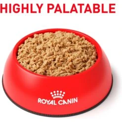 Royal Canin Veterinary Diet Adult Gastrointestinal Loaf In Sauce Canned Cat Food -PurePet Bites Shop 299279 PT2. AC SS1800 V1692048532