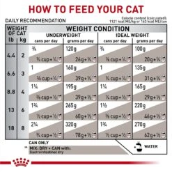 Royal Canin Veterinary Diet Adult Gastrointestinal Loaf In Sauce Canned Cat Food -PurePet Bites Shop 299279 PT8. AC SS1800 V1691702089