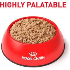 Royal Canin Veterinary Diet Adult Urinary SO Loaf In Sauce Canned Cat Food -PurePet Bites Shop 299280 PT2. AC SS1800 V1677619959