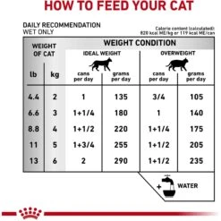 Royal Canin Veterinary Diet Adult Urinary SO Loaf In Sauce Canned Cat Food -PurePet Bites Shop 299280 PT7. AC SS1800 V1677619525