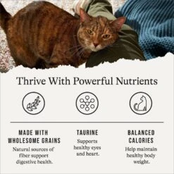 American Journey Indoor Cat Total Health Formula Chicken & Brown Rice Recipe Dry Cat Food, 15lb Bag -PurePet Bites Shop 299537 PT4. AC SS1800 V1668737352