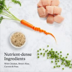 American Journey Indoor Cat Total Health Formula Chicken & Brown Rice Recipe Dry Cat Food, 15lb Bag -PurePet Bites Shop 299537 PT5. AC SS1800 V1680787082