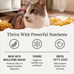 American Journey Sensitive Stomach Total Health Formula Salmon & Brown Rice Recipe Dry Cat Food, 15lb Bag -PurePet Bites Shop 299544 PT4. AC SS1800 V1668737455