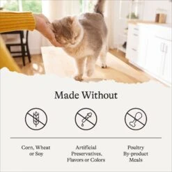 American Journey Sensitive Stomach Total Health Formula Salmon & Brown Rice Recipe Dry Cat Food, 15lb Bag -PurePet Bites Shop 299544 PT6. AC SS1800 V1680787067