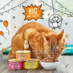 Tiny Tiger Chunks In EXTRA Gravy Beef & Poultry Recipes Variety Pack Grain-Free Canned Cat Food & Tiny Tiger Crunchy Bunch, Chicken Cannonball, Chicken Flavor Cat Treats -PurePet Bites Shop 303740 PT3. AC SS1800 V1623081762