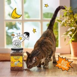 Tiny Tiger Chunks In EXTRA Gravy Beef & Poultry Recipes Variety Pack Grain-Free Canned Cat Food & Tiny Tiger Crunchy Bunch, Chicken Cannonball, Chicken Flavor Cat Treats -PurePet Bites Shop 303740 PT7. AC SS1800 V1623065849