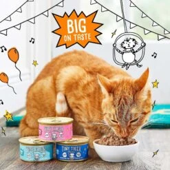Tiny Tiger Chunks In EXTRA Gravy Tuna Recipe Grain-Free Canned Cat Food & Tiny Tiger Tuna Tidbits Flavor Filled Cat Treats -PurePet Bites Shop 303746 PT2. AC SS1800 V1623035855